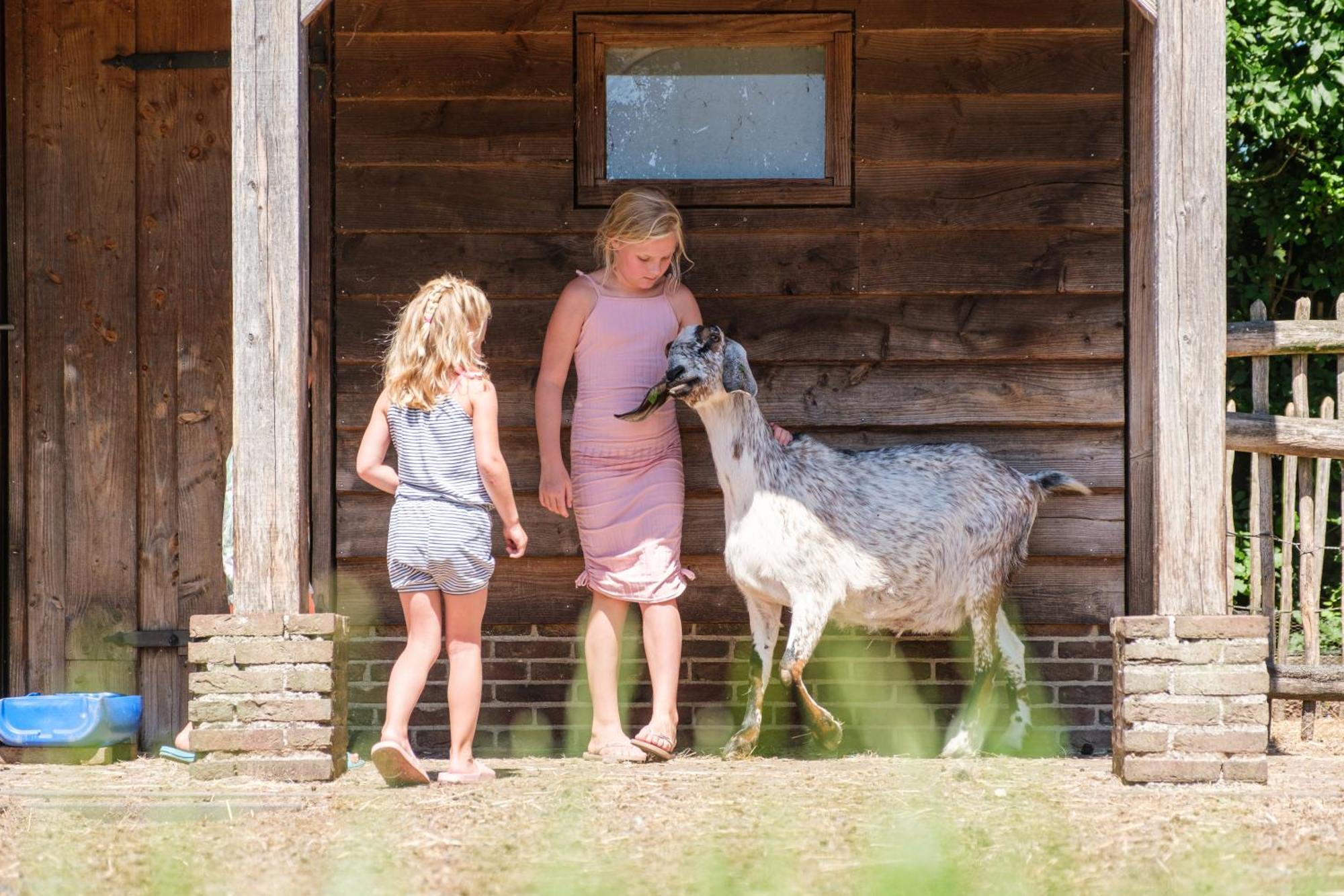 Camping De Pallegarste - Voor Uw Vakantiebestemming! Marienberg Zewnętrze zdjęcie
